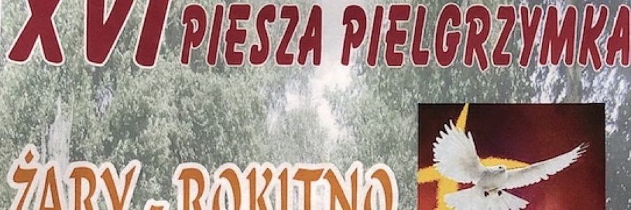 ŻARY – ROKITNO