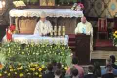 c451f91d-9d44-4e33-9081-6d55135ead3a