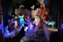 d6a294d7-0cbe-44bf-83a5-1c17dfeb28f2