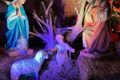 dfa2ed6e-9f58-4798-bfa4-debe966dd2da