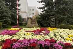 5bdb67ac-7384-4229-b53b-ee4b3308a947