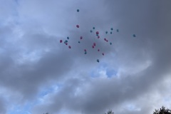 IMG_8573