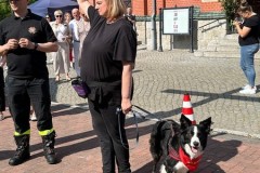 IMG_3953