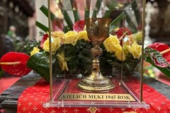 70edef0a-3636-425a-ad99-63ecf08e048d