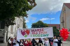 ed7cb1cf-b8e7-465b-989c-0f667dac1926