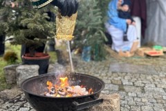 IMG_7797