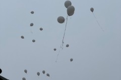 IMG_3530