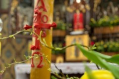 IMG_4043