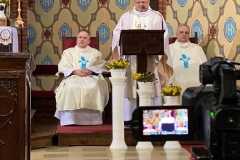 e96b291e-706c-4de8-8b71-5ccda45b02cd