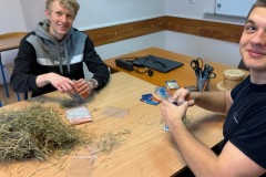 ae1ccd0a-e8f7-4481-bd4c-a9ad1dfd8068