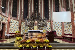 IMG_1081