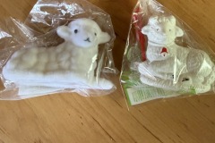 IMG_3132